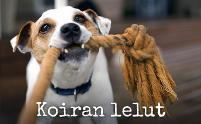 Koiran lelut ja aktivointi