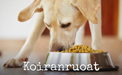 koiranruoat
