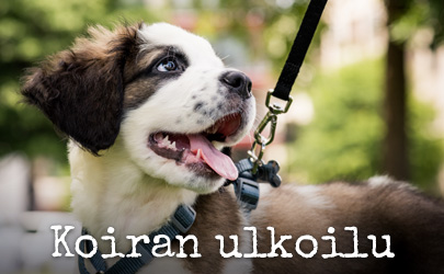 Koiran ulkoilu