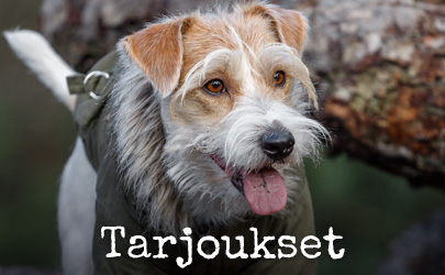Tarjoukset