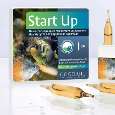 Prodibio Start Up - Akvaarion käynnistysaineet - 41050 - 1
