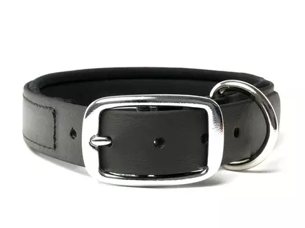 Mystique Biothane Panta Musta - Koiran pannat - 150301 - 1