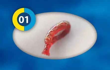 Surviainen - Akvaariokalojen ruoat - 40101 - 1