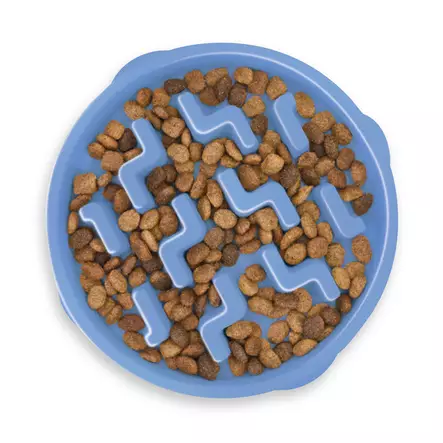 Ahmimisenestokuppi Fun Feeder Sininen - Koiran aktivointilelut ja älypelit - 14121 - 1