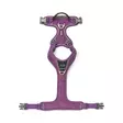 DOG Copenhagen Comfort Walk Pro 3.0 Y-Valjas Violetti - Koiran valjaat - 15314-1 - 2
