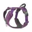 DOG Copenhagen Comfort Walk Pro 3.0 Y-Valjas Violetti - Koiran valjaat - 15314-1 - 1