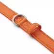 DOG Copenhagen Urban Classic - Oranssi - Koiran talutushihnat ja flexit - 15452-1 - 4