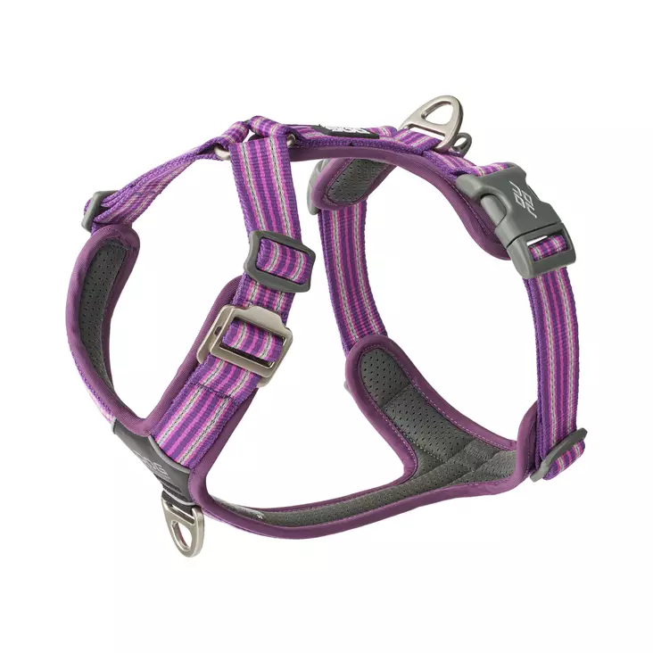 DOG Copenhagen Comfort Walk Air 3.0 Y-Valjas Violetti - Koiran valjaat - 15304-1 - 1