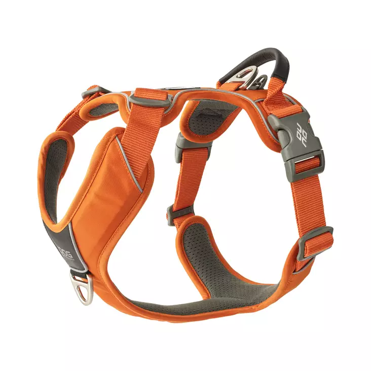 DOG Copenhagen Comfort Walk Pro 3.0 Y-Valjas Oranssi - Koiran valjaat - 15312-1 - 1