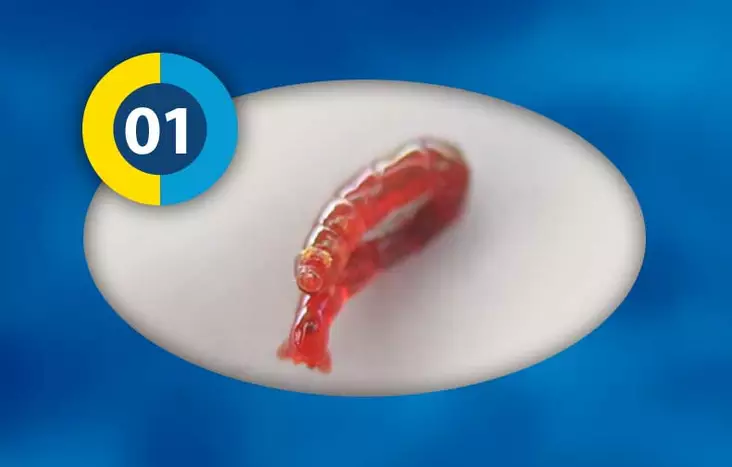 Surviainen - Akvaariokalojen ruoat - 40101 - 1