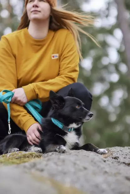 Hurtta Casual Eco Puolikiristävä Panta Riikinkukko - Koiran pannat - 15012 - 2
