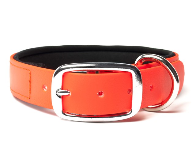 Mystique Biothane Panta Oranssi - Koiran pannat - 150303 - 1