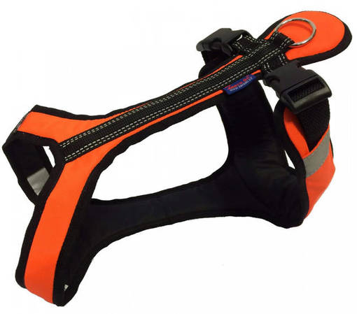 Zero DC Short Neonoranssi - Koiran valjaat - 15295 - 1