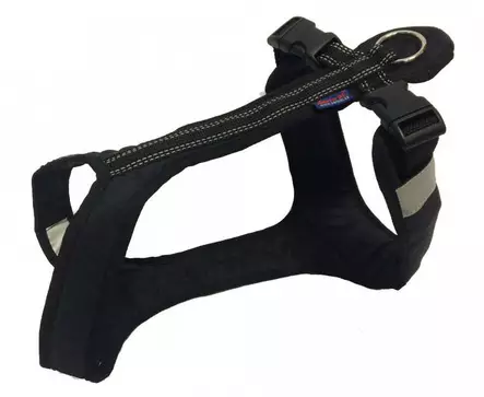 Zero DC Short Musta - Koiran valjaat - 15296 - 1