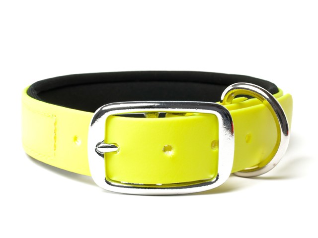 Mystique Biothane Panta Keltainen - Koiran pannat - 150306 - 1