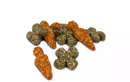 JR Farm Grainless Porkkana & Yrtti - Kanin ja jyrsijän herkut - 31017 - 2